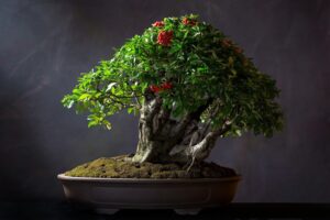 Mastering the Art of Bonsai | A Comprehensive Guide to Bonsai Plants,Caring for Bonsai Plants,Green Planet Saviors,Bonsai Tree, Bonsai Plants,