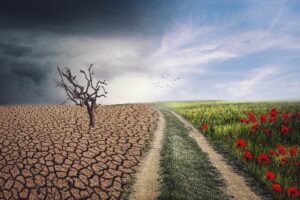 Climate Change | Understanding, Adapting, and Overcoming, Green Planet Saviors,